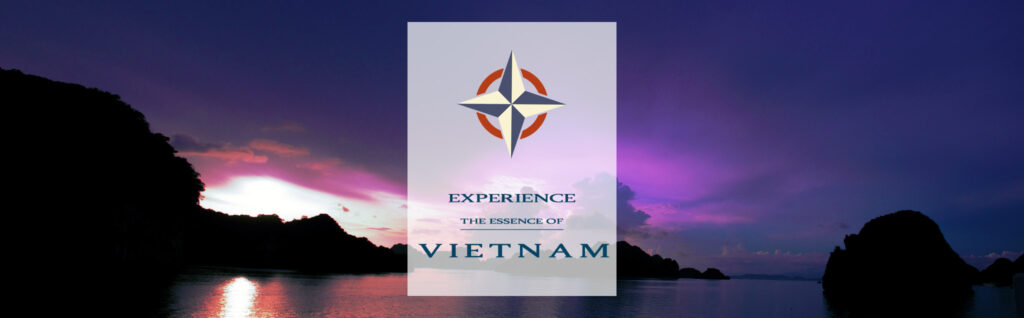 star light halong cruise logo deisgn
