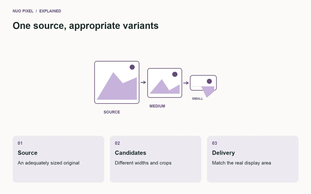 Responsive images provide several size candidates for the browser to match to the display area.