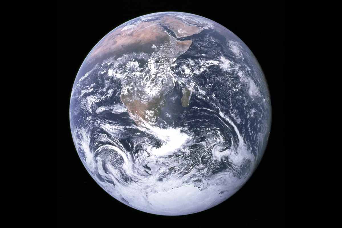 photograph specimen exported as webp